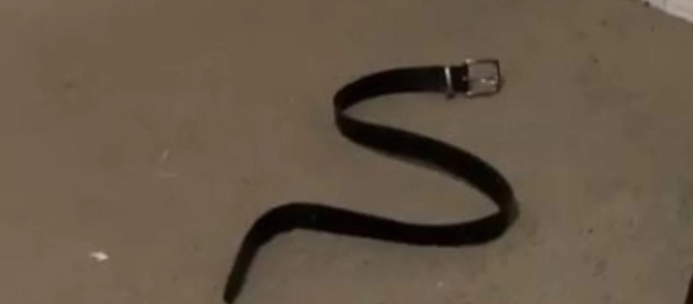 Γυναίκα τρόμαξε τον άντρα της με μια ζώνη - Την πέρασε για φίδι (βίντεο)